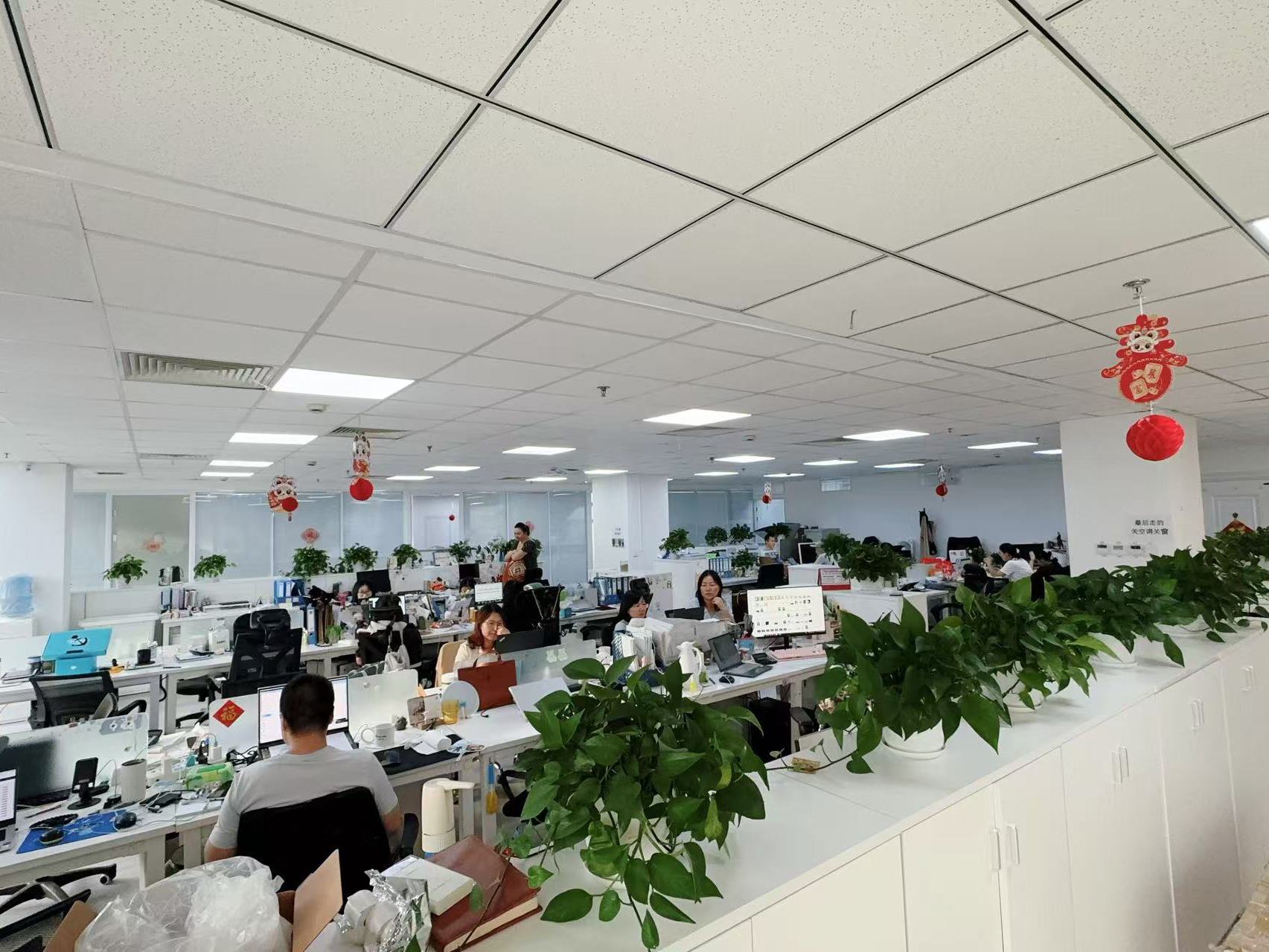 চীন Hong Kong Starsurge Group Co., Limited সংস্থা প্রোফাইল