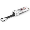 ফাইবার অপটিক্যাল 4 X SFP10g থেকে Qsfp বিপরীত অ্যাডাপ্টার Cvr-4SFP10g-Qsfp 10g থেকে Qsfp বিপরীত অ্যাডাপ্টার মডিউল